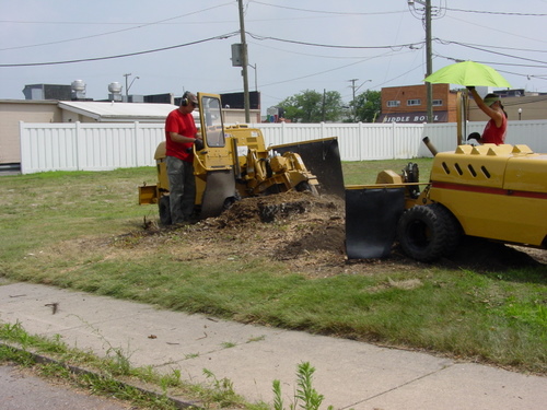 ./Gallery/2011 Bennet Lot Tree Removal/DSC06472.JPG